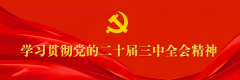 程力汽车集团学习贯彻中央经济工作会议精神